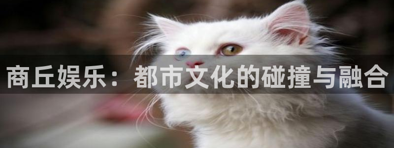星亿娱乐平台：商丘娱乐：都市文化的碰撞与融合