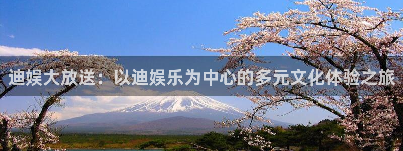 星亿娱乐注册：迪娱大放送：以迪娱乐为中心的多元文化体验之旅