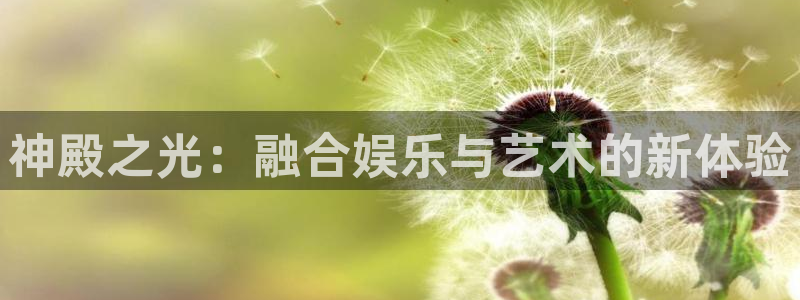 星亿娱乐登录：神殿之光：融合娱乐与艺术的新体验