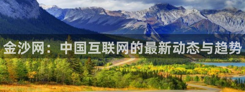 星亿娱乐平台：金沙网：中国互联网的最新动态与趋势