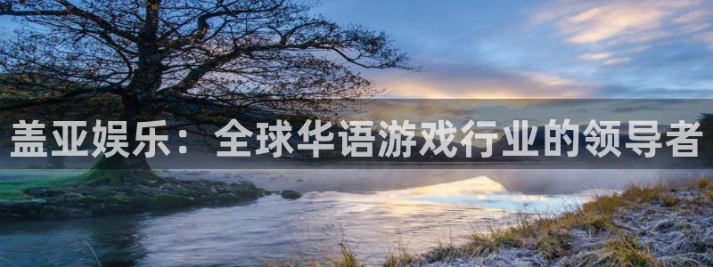 星亿娱乐官网进入：盖亚娱乐：全球华语游戏行业的领导者
