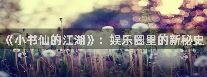 星亿娱乐官网登录入口：《小书仙的江湖》：娱乐圈里的新秘史