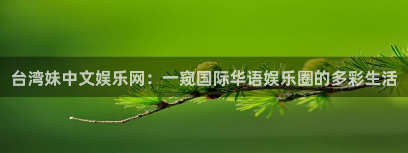 星亿娱乐主管：台湾妹中文娱乐网：一窥国际华语娱乐圈的多彩生活