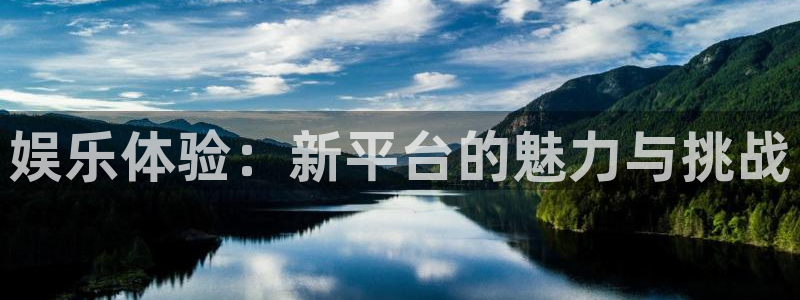星亿娱乐主管：娱乐体验：新平台的魅力与挑战